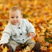 autumn-275920